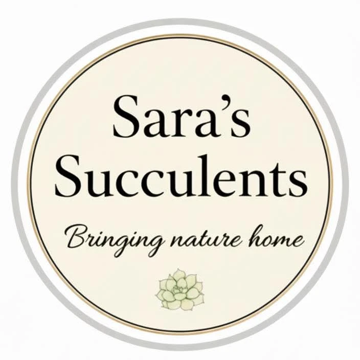 Sara`s Succulents
