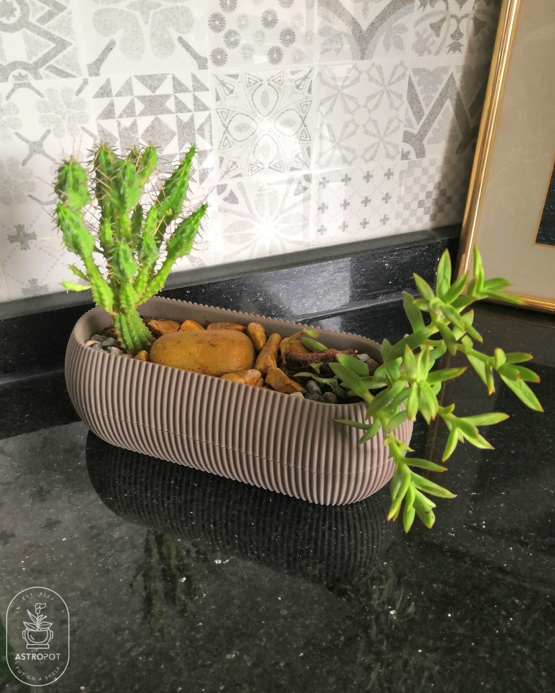 Cacti-Succulents Combo in Oval Plastic Pot (Brown)