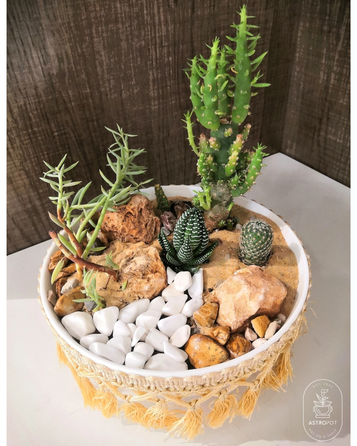 Cactus - Succulent Combo Custom Ceramic Dish