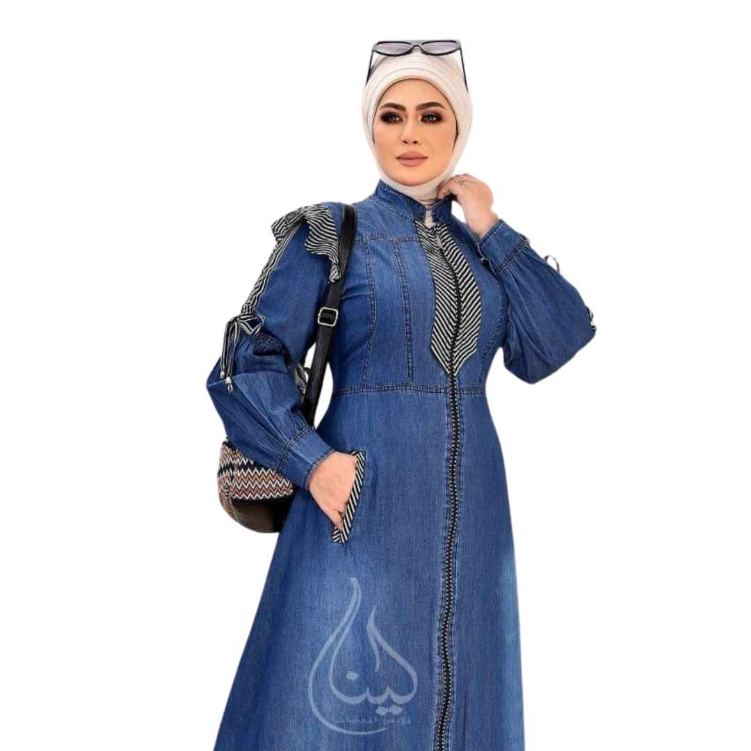 Denim Modest Dress