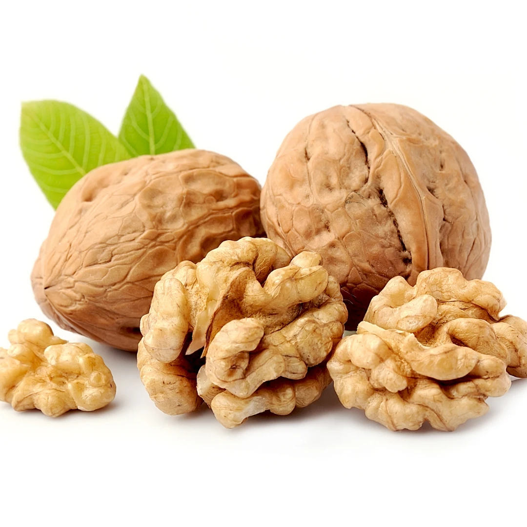 American walnut