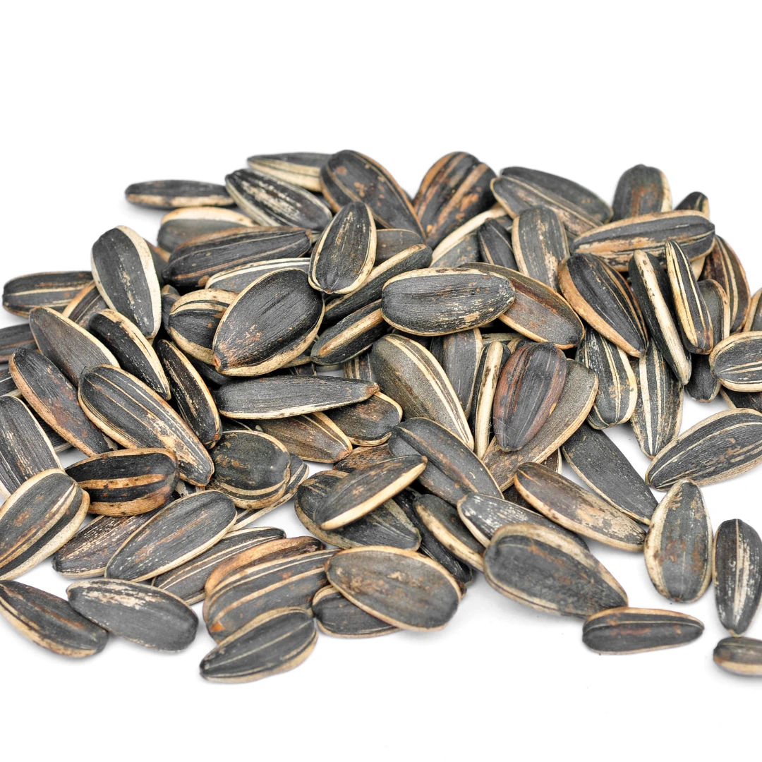 Raw sun Seeds