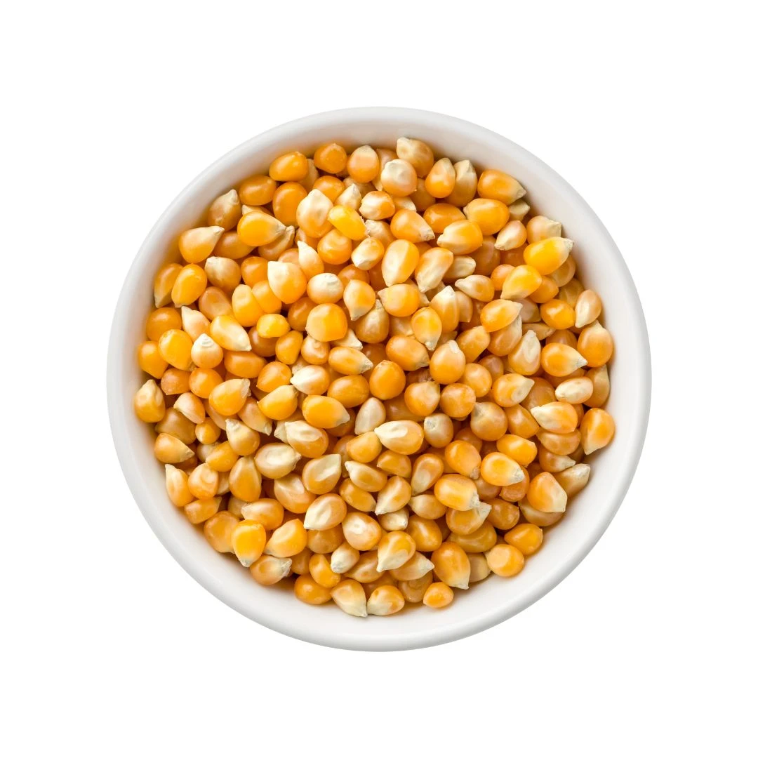 popcorn