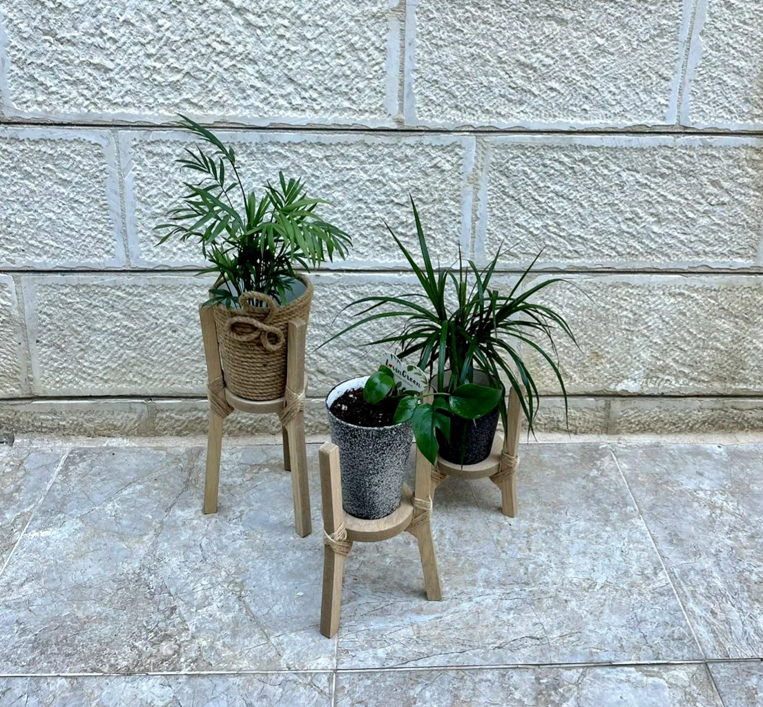 Wooden plant stands