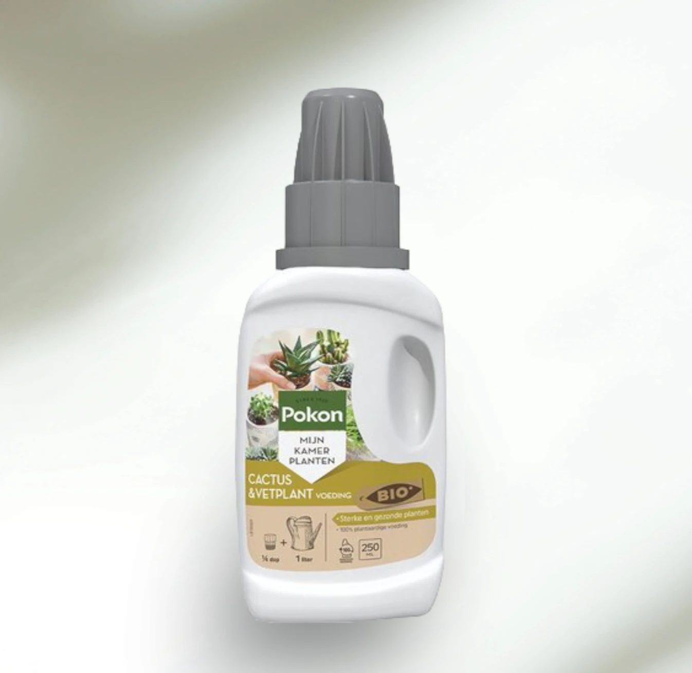 Fertilizer for cactus and succulents
