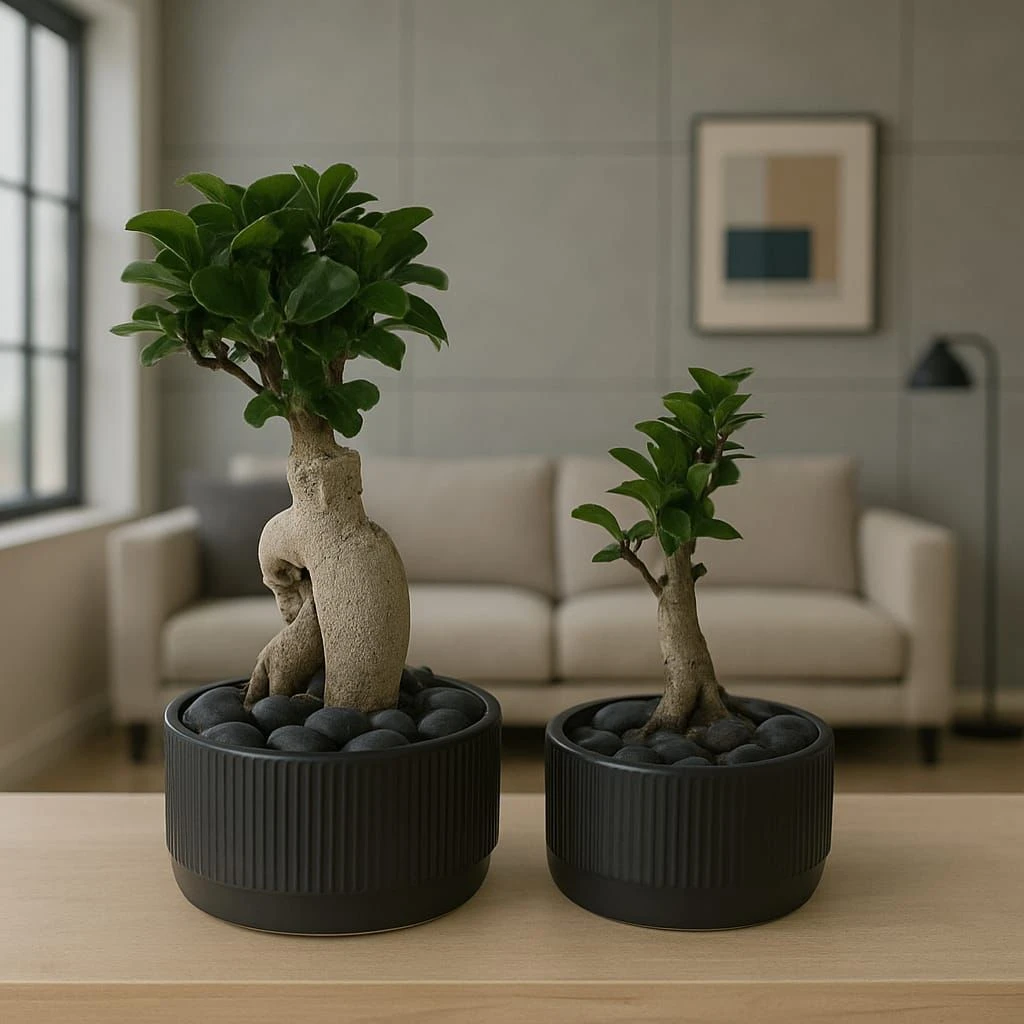 🌿 Peaceful Indoor Bonsai Tree – Japanese Mini Tree for Home or Office Decor