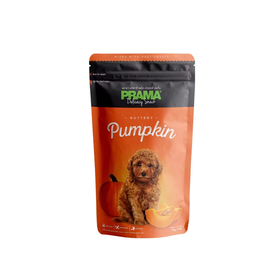 Dog Treat / pumpkin