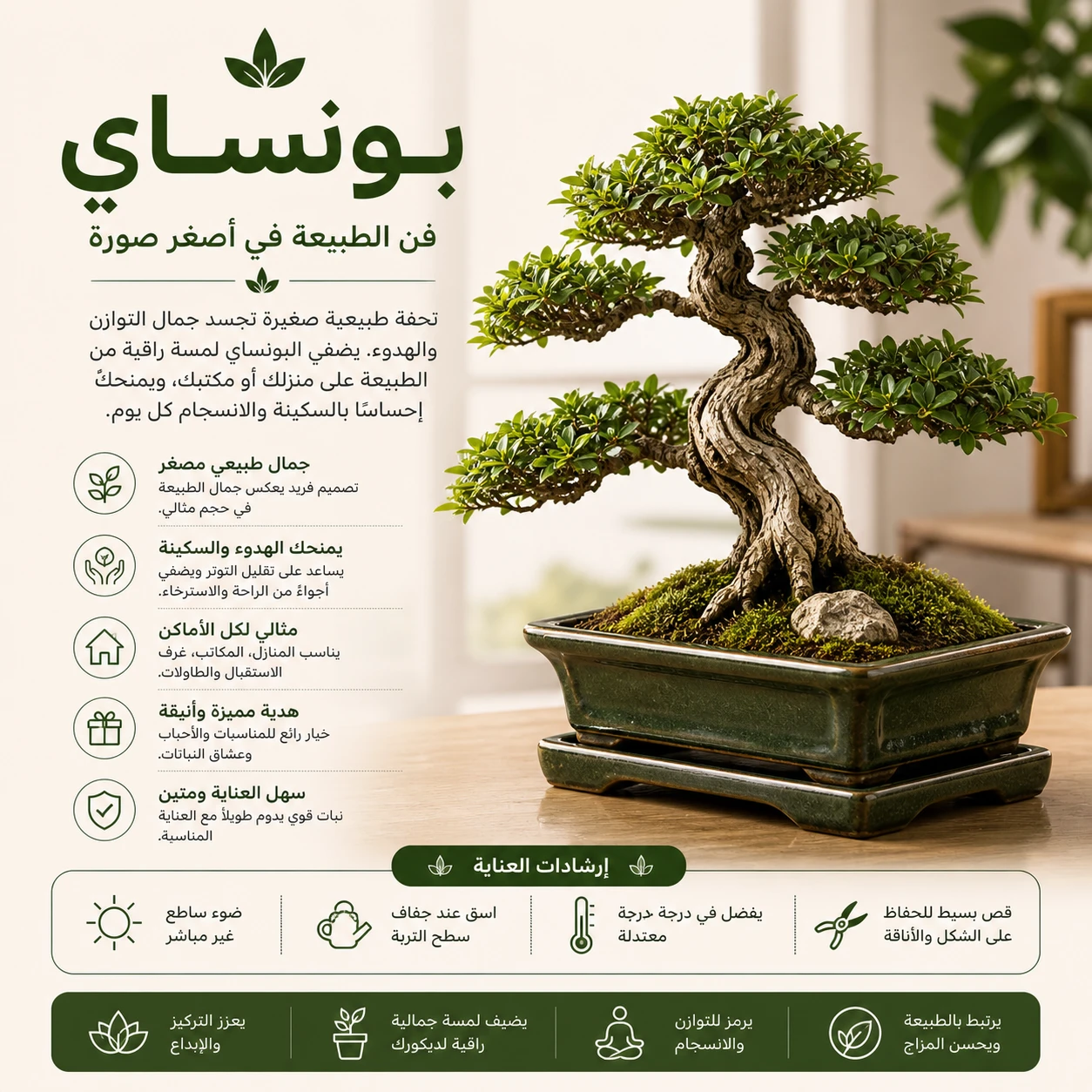 Elegant Bonsai Plant – A Natural Artistic Touch for Refined Spaces