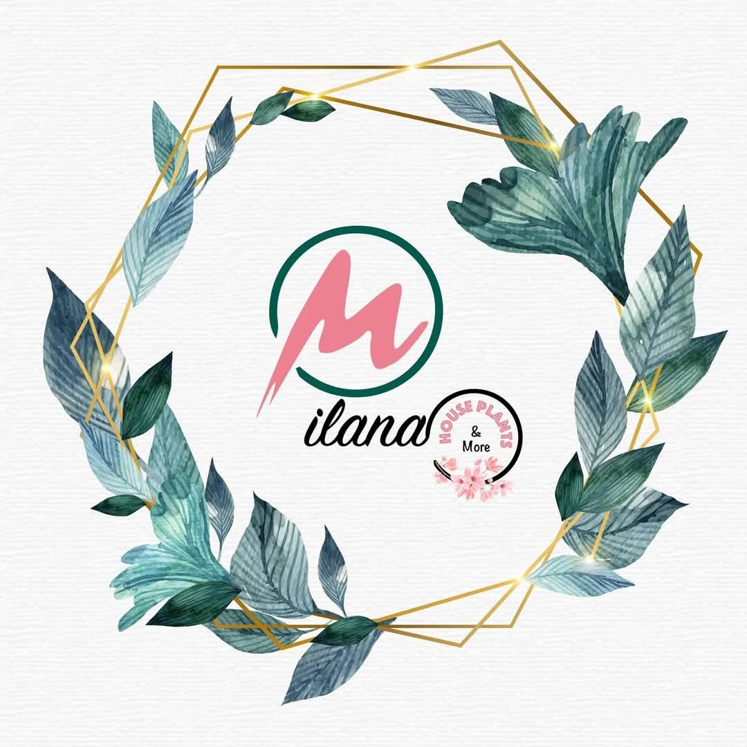 Milana - House Plants & More